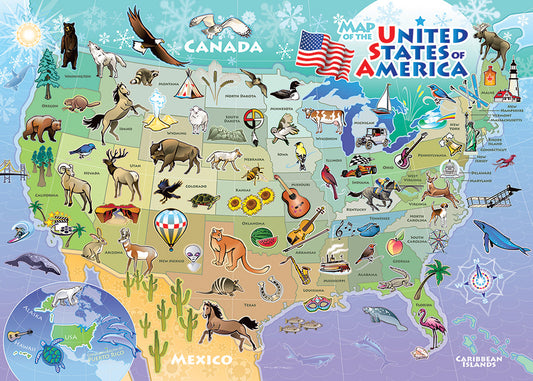 USA Map 35pc Tray Puzzle