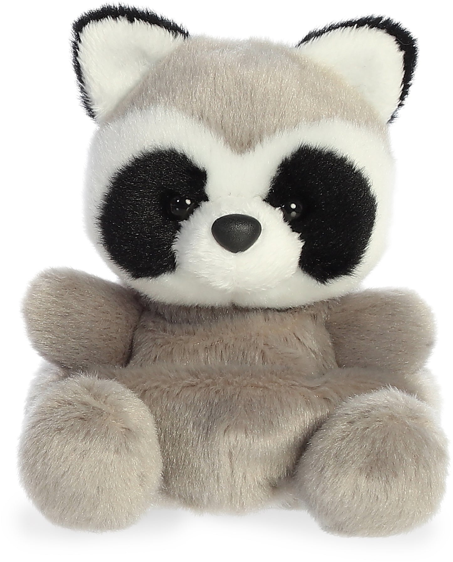 Rascal Racoon 5" Palm Pals