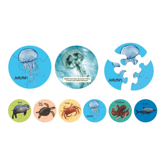 Sealife Animals Puzzles Set of 6