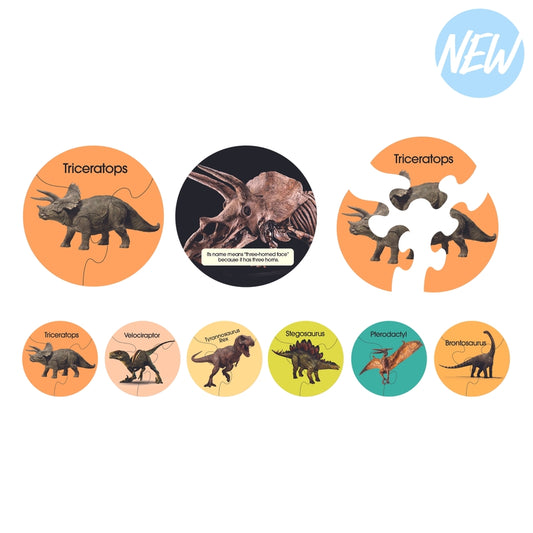 Dino Puzzles Set of 6