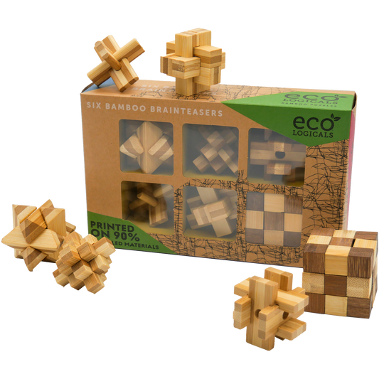 EcoLogical Wooden Brain Teaser Puzzle set of 6