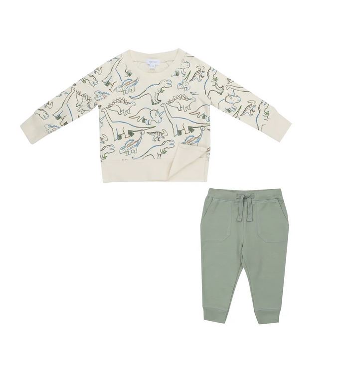 French Terry Artsy Dinos Raglan Sweatshirt & Jogger Set