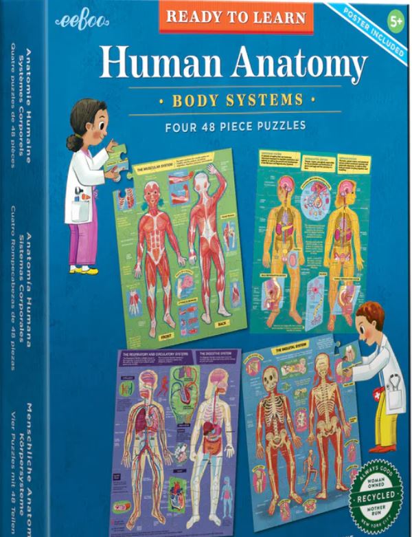Ready to Learn - Human Anatomy 48pc 4 Puzzle Set