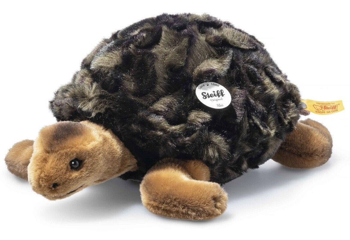 Slo Turtle