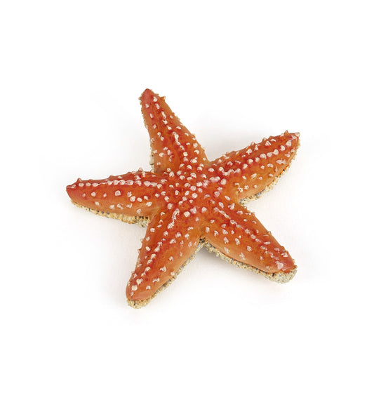 Starfish Figure