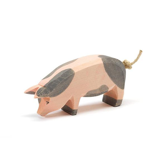 Spotted Pig, head low