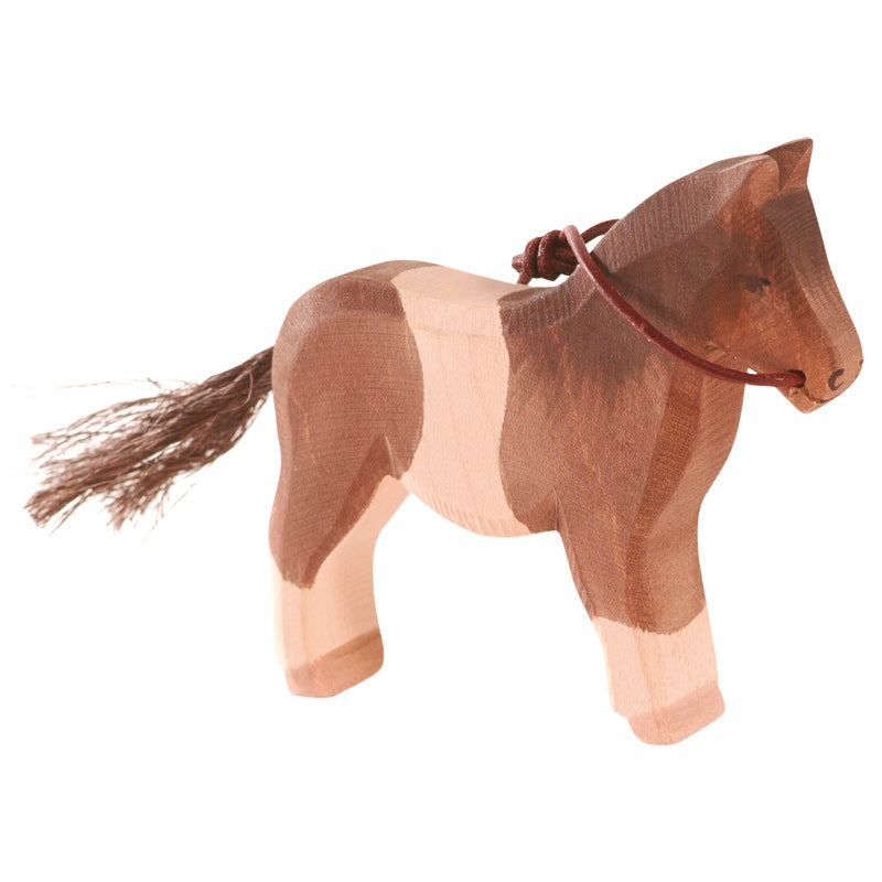 Brown and White Pony with Reins
