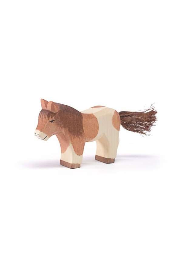 Shetland Pony, standing