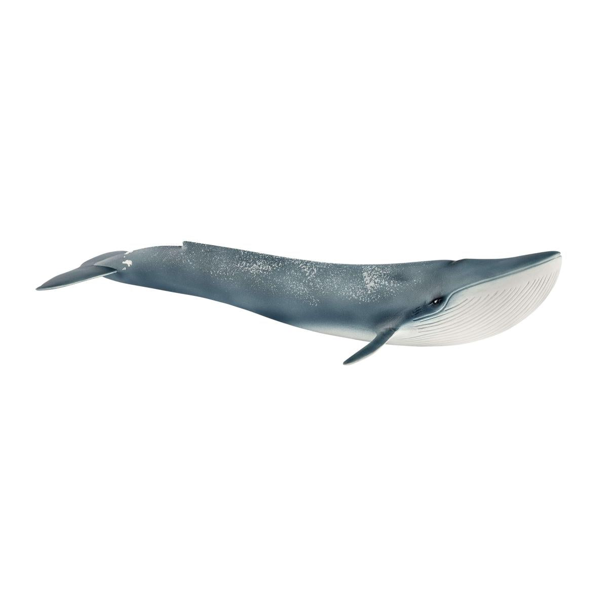 Blue Whale 11" Figure