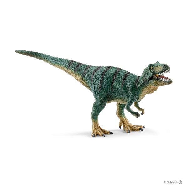 Young Tyrannosaurus Rex 9" Figure