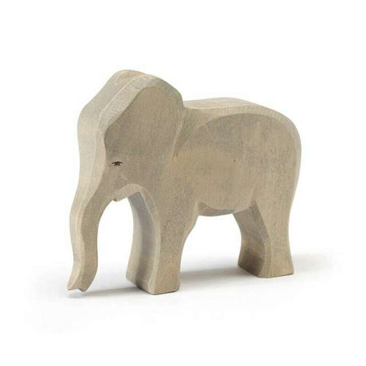 Elephant female