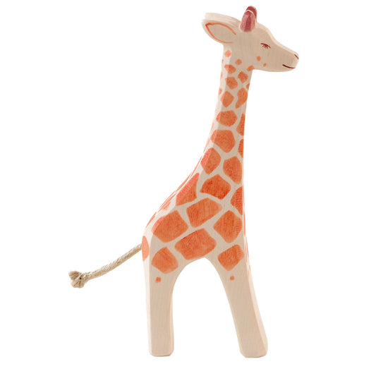 Giraffe standing