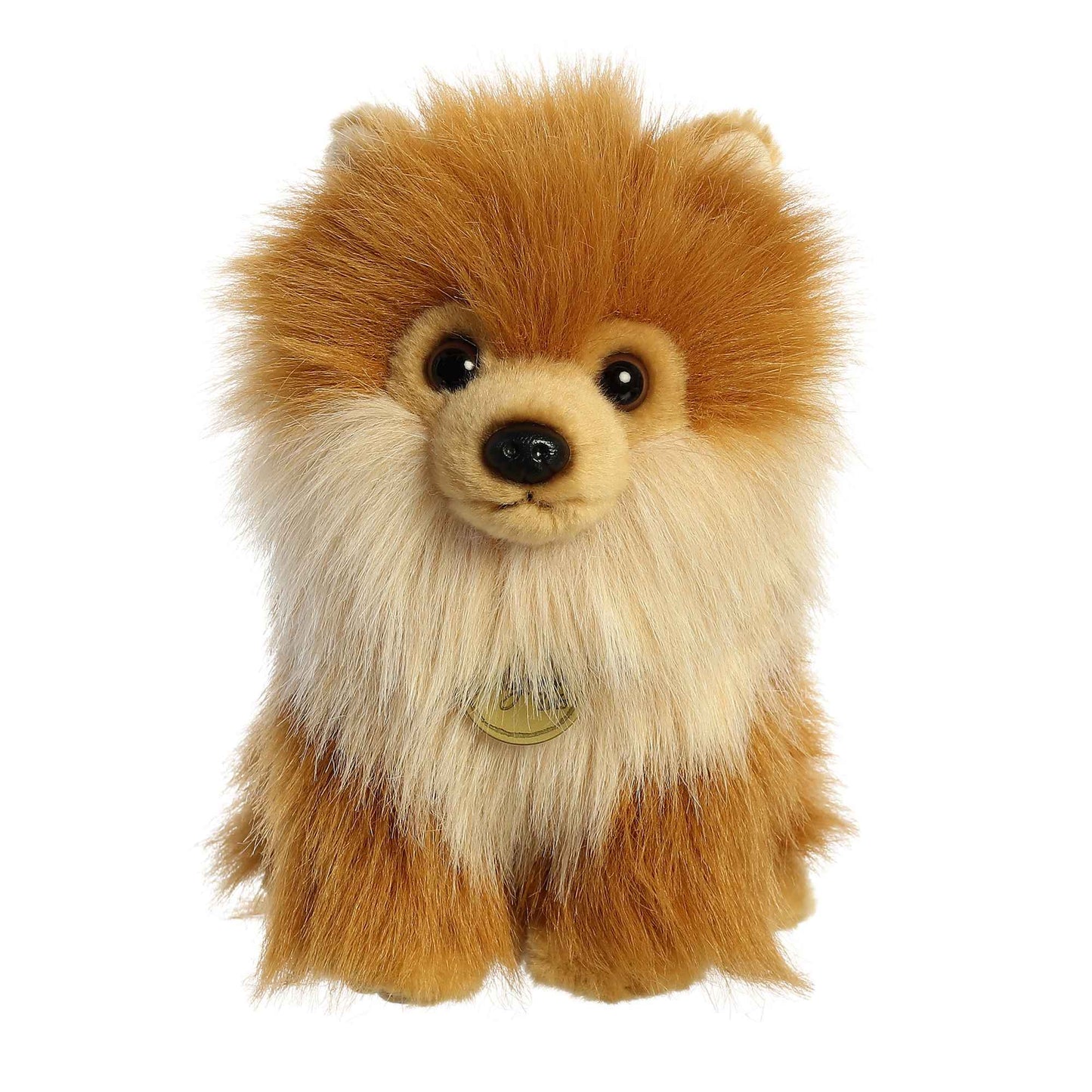 9" Pomeranian Pup Miyoni