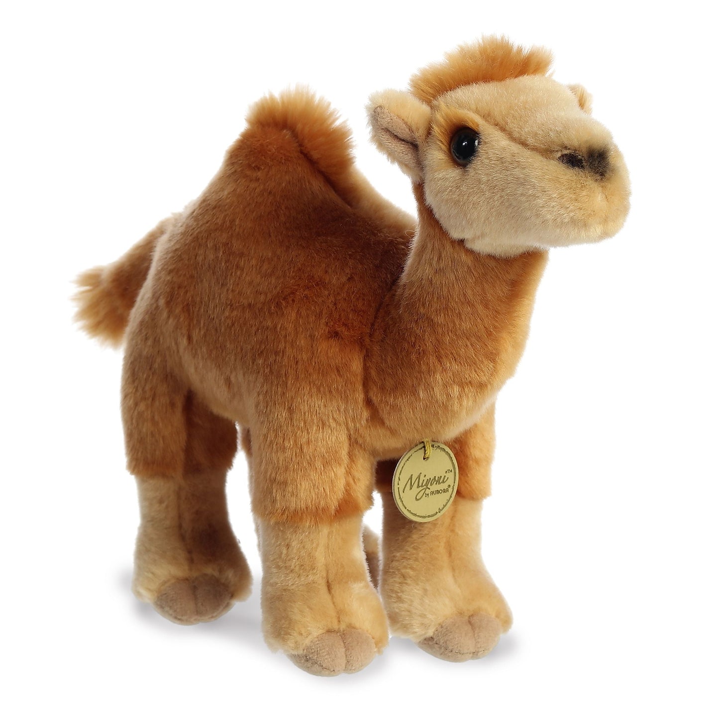 11" Dromedary Camel