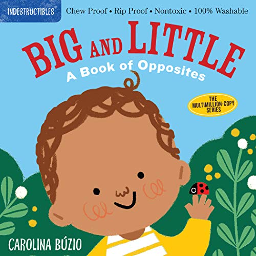 Big and Little Book of Opposites Indestructibles