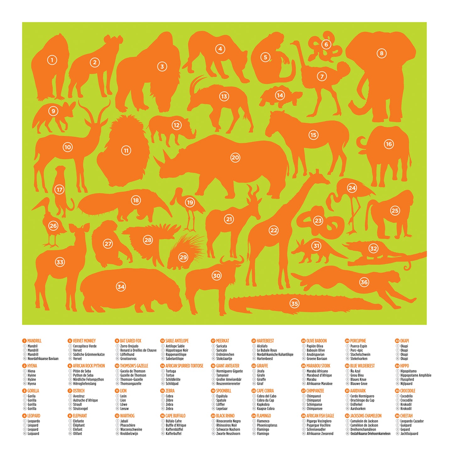 36 Wild Animals 100pc Puzzle