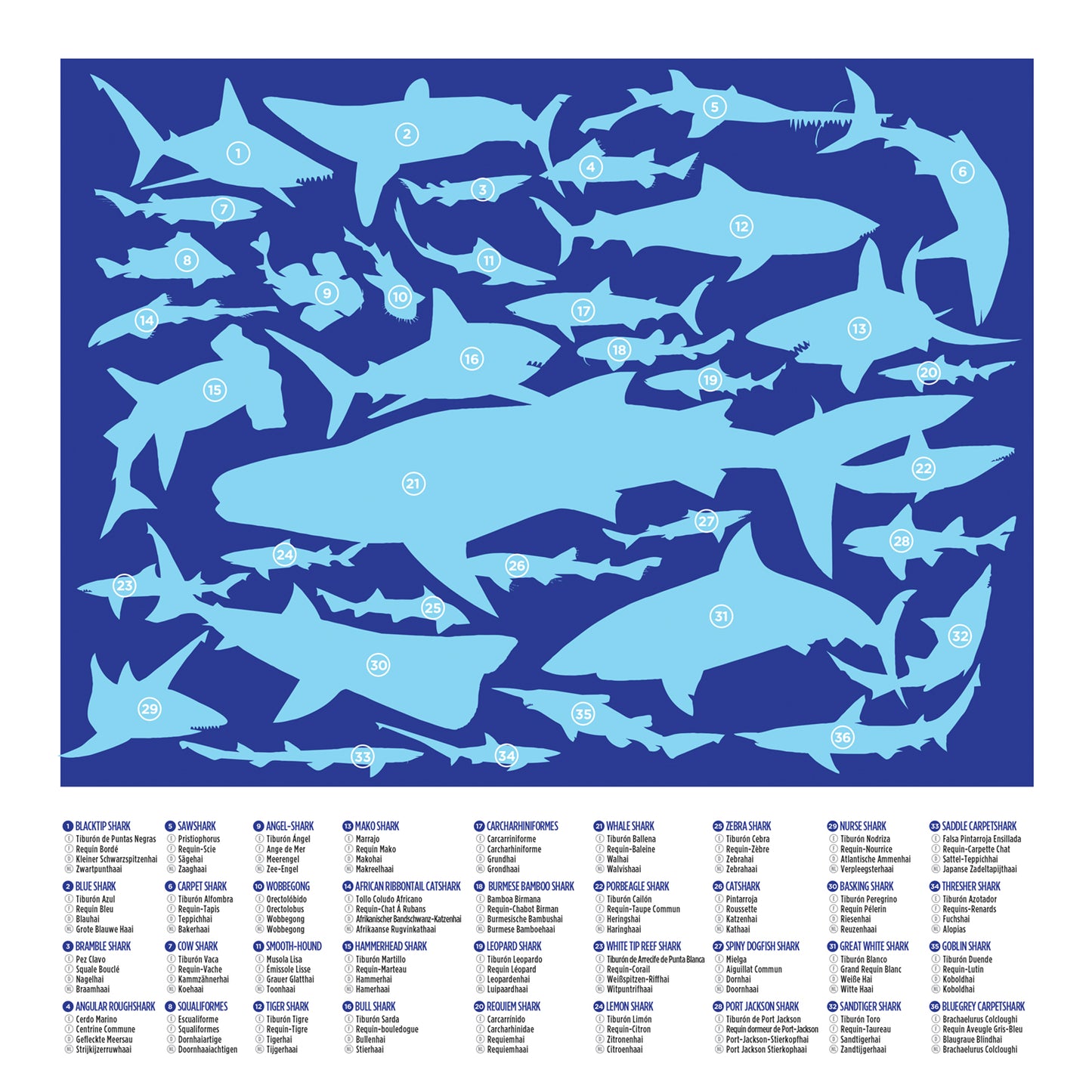 36 Sharks 100pc Puzzle