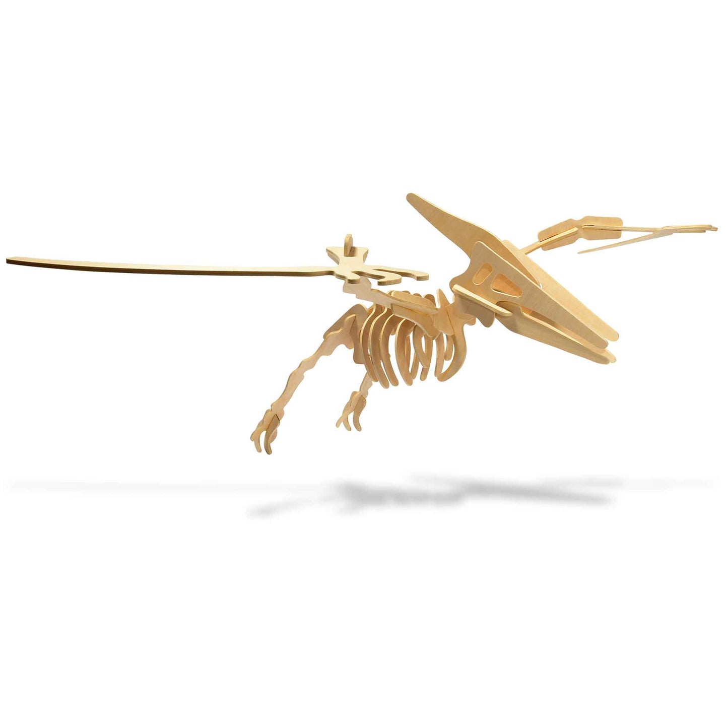 Pteranodon 3D Wood Modeling Kit