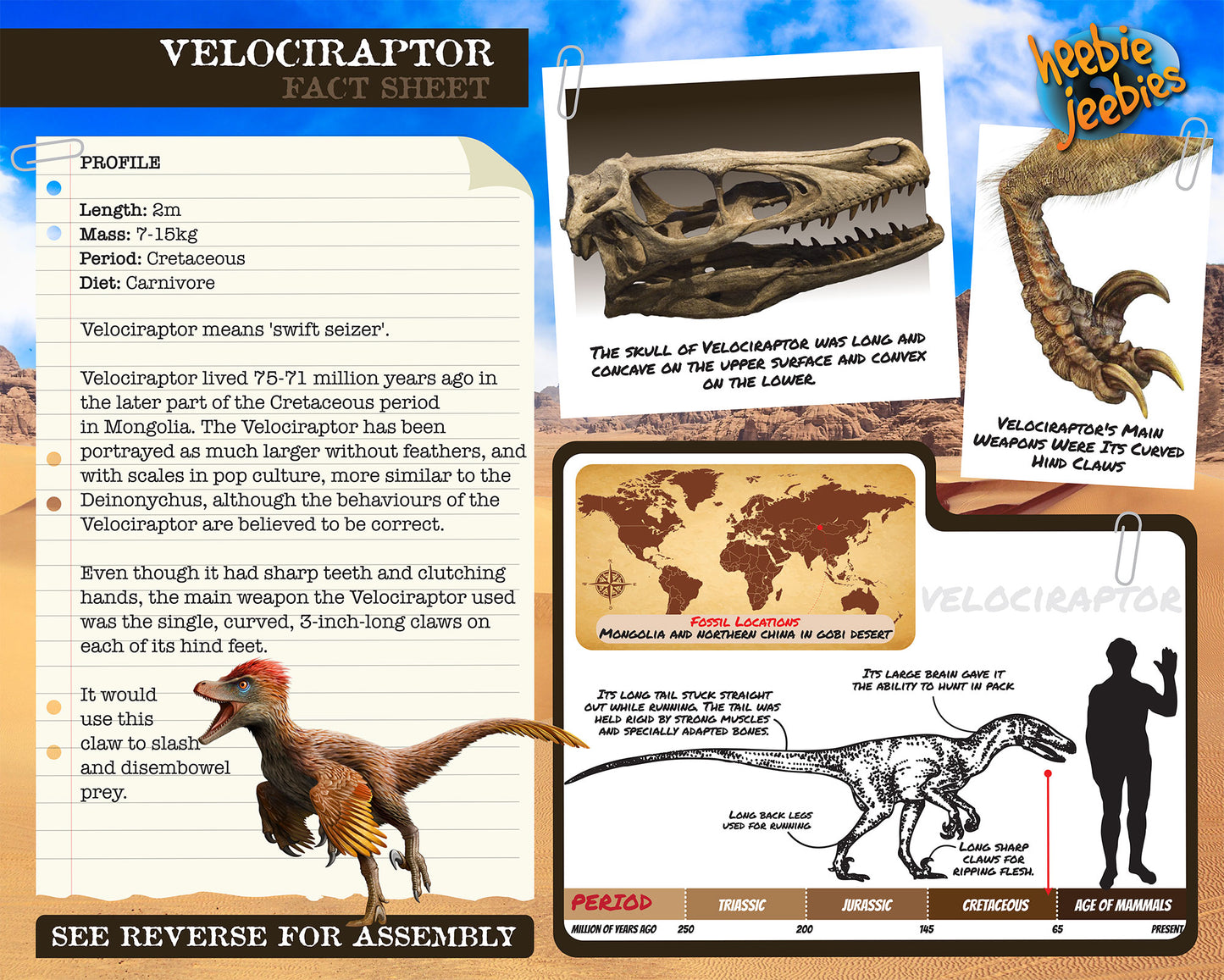 Velociraptor 3D Wood Modeling Kit