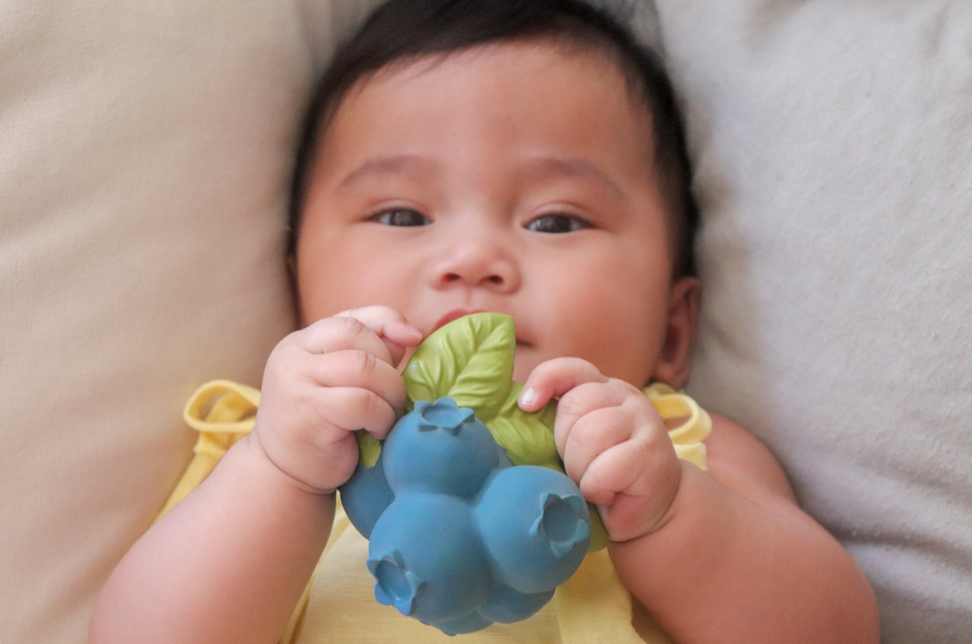Jerry The Blueberry Teether