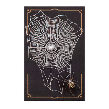 Weaver Paper Spiderweb & Spider Set