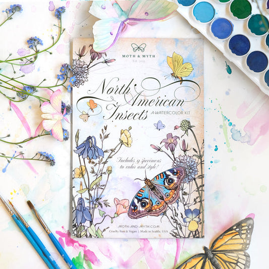 North American Insects Watercolor Kit