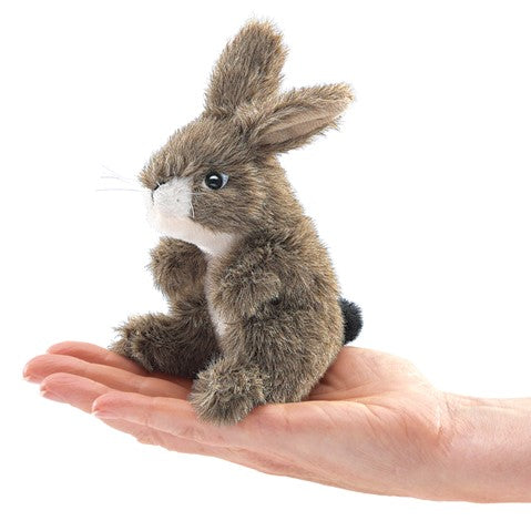 Mini Jack Rabbit