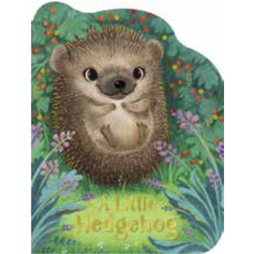 A Little Hedgehog
