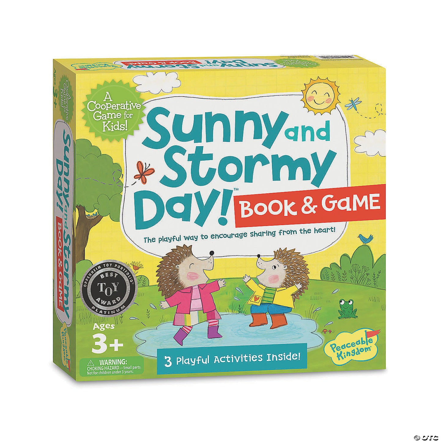 Sunny and Stormy Day Game